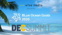 DEC BLOGS - BLue Ocean Goals